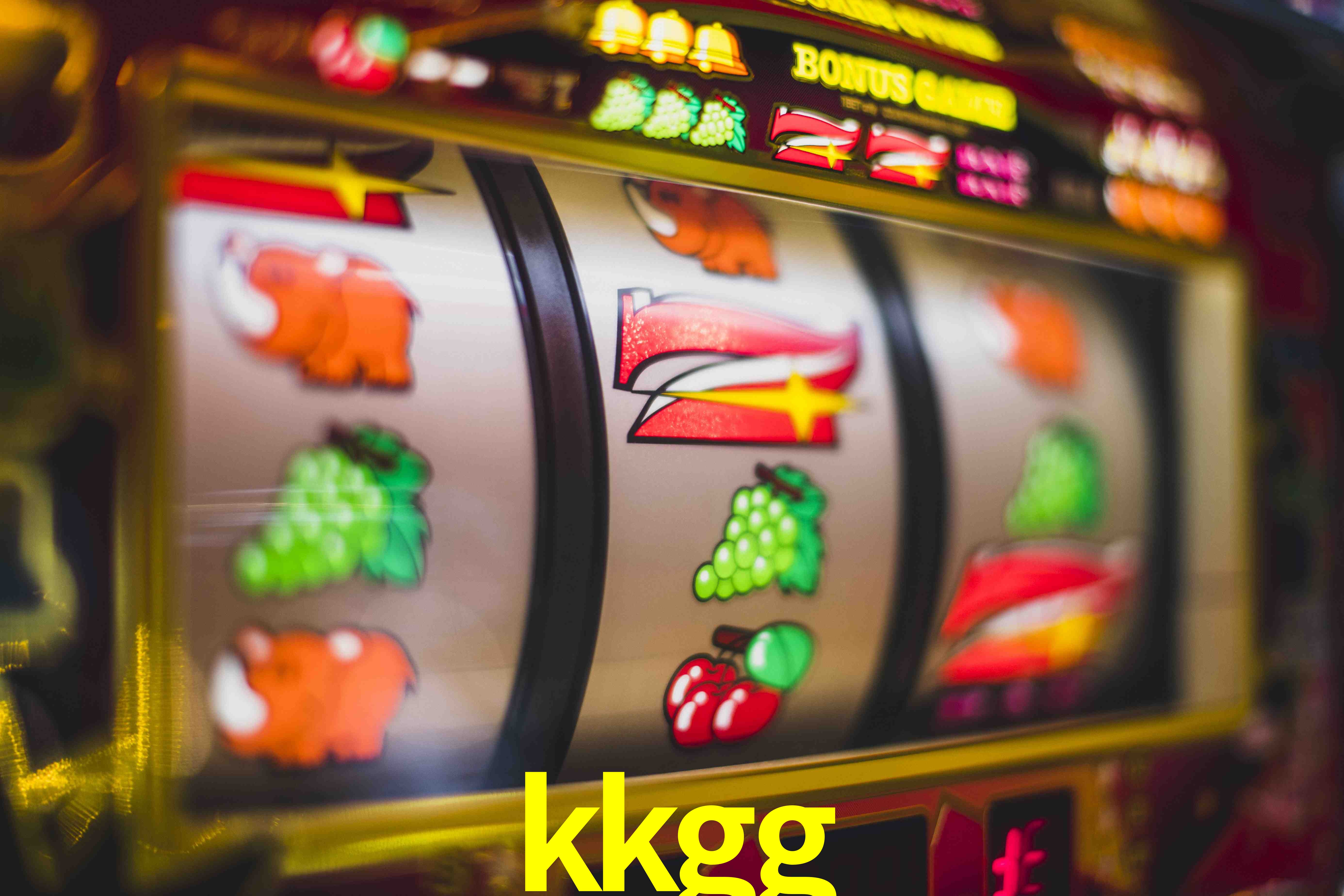 Live Casino kkgg